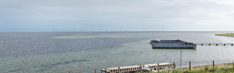Udsigt fra Dragør Fort - Havvindmøller